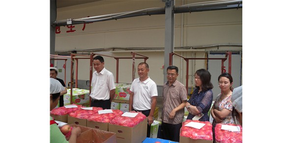 《綠色食品品質(zhì)、營(yíng)業(yè)功能評(píng)價(jià)標(biāo)準(zhǔn)課題》調(diào)研在棲霞德豐開(kāi)展